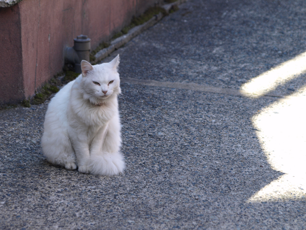 _A08921002.jpg