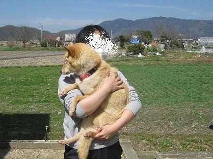 190 - コピー