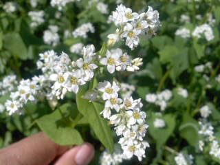 20120915133740.jpg