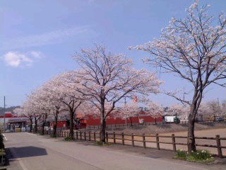 130425_1200~01