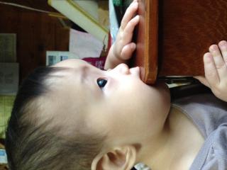2012082212