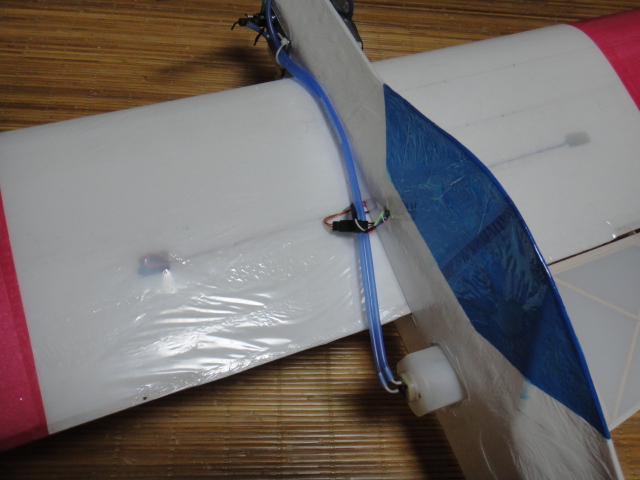 1007fan5.jpg