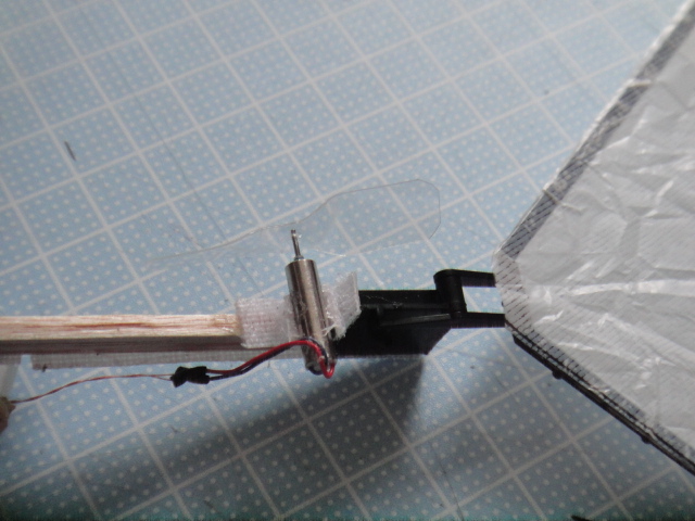 313tori4.jpg