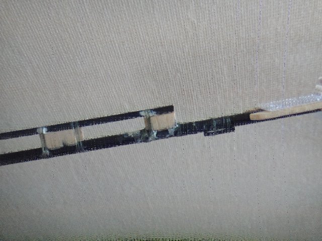 316sal3.jpg