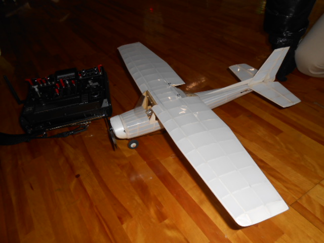 331t2.jpg