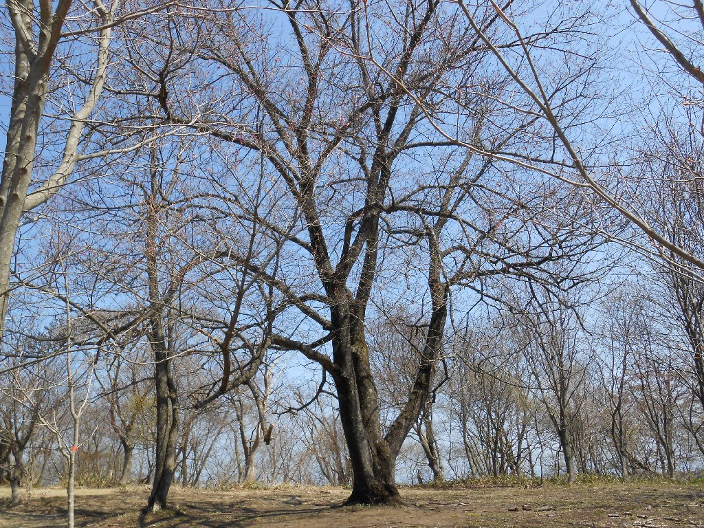 425kakuda3.jpg