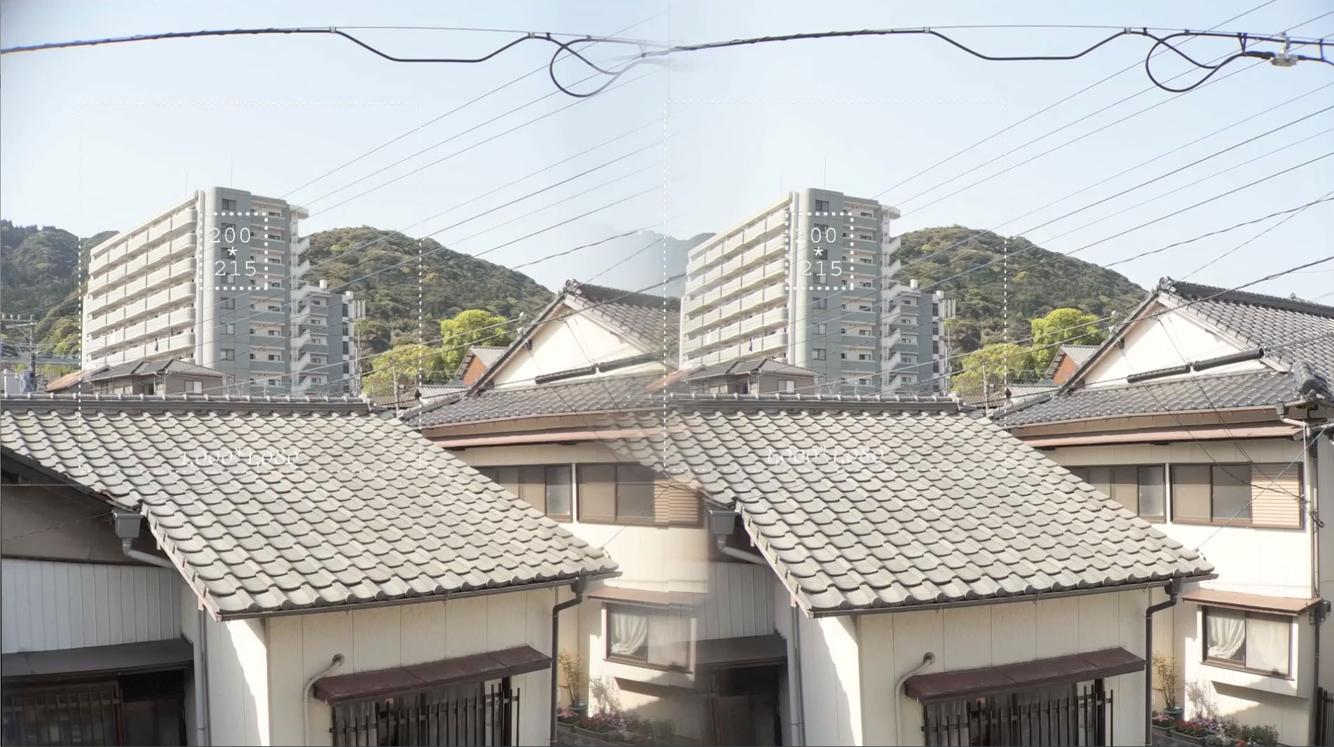 roofmansion.jpg