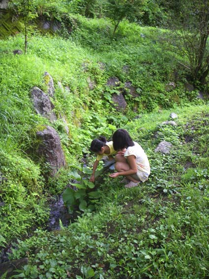 誕生日キャンプ1