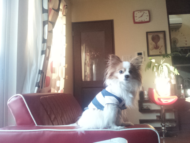 2014020408103393e.jpg