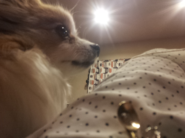 2014020701515445f.jpg