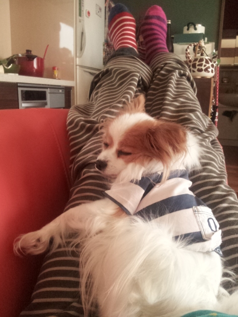 20140207015154c5f.jpg