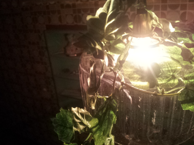 20140209022517f26.jpg