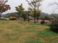 20141109142413361.jpg