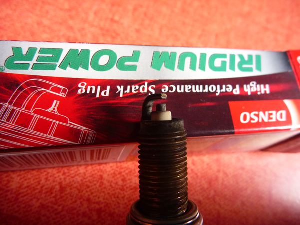 P1030370_R.jpg