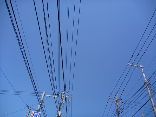 P1030432_R.jpg