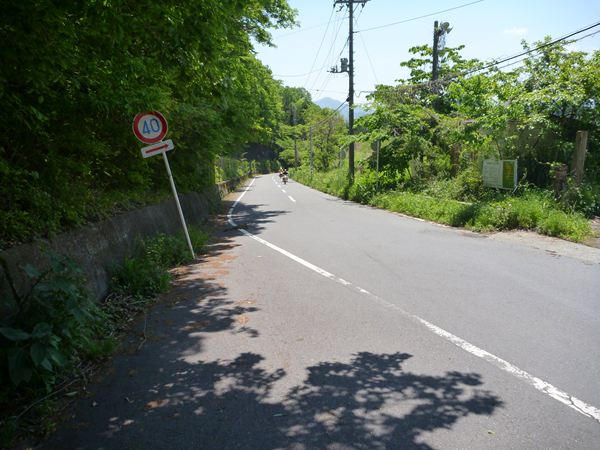 P1030448_R.jpg
