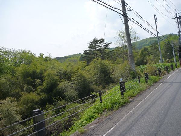 P1030781_R.jpg