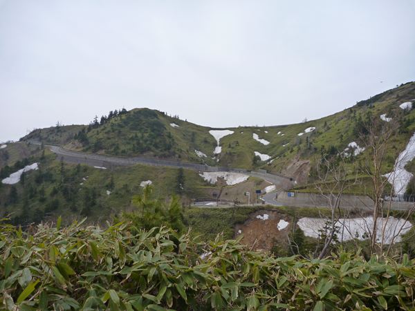 P1030908_R.jpg