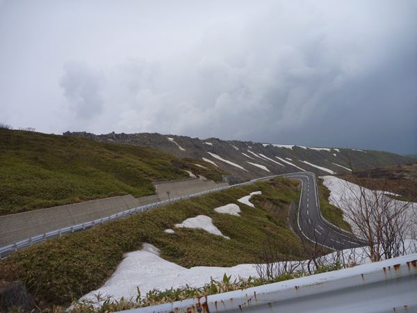 P1030955_R.jpg