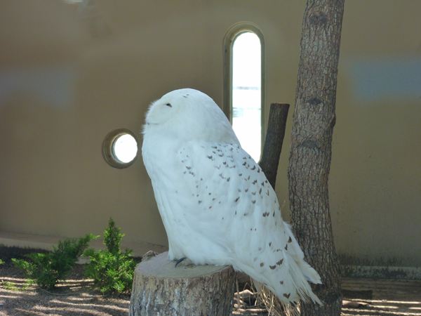 P1040097_R.jpg