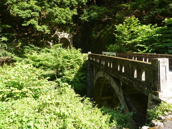 P1040812_R.jpg
