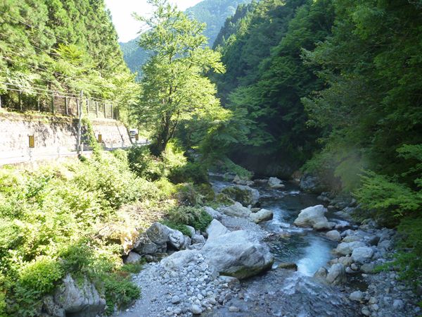 P1050611_R.jpg