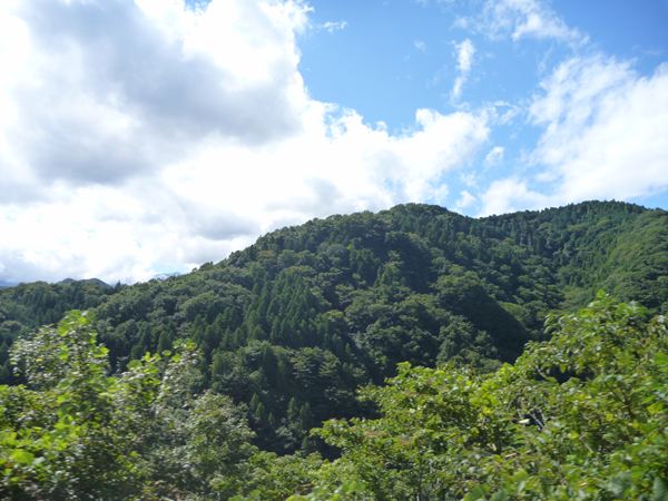 P1060148_R.jpg