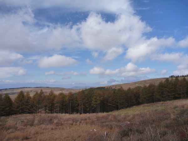P1060794_R.jpg