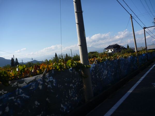 P1060952_R.jpg