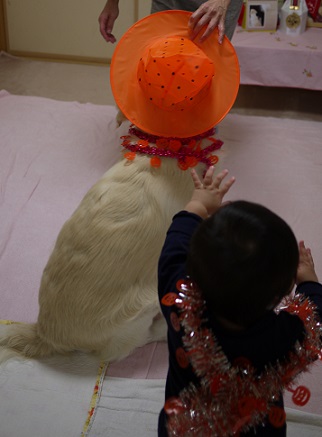 P1410554.jpg