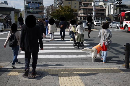 P1410637.jpg