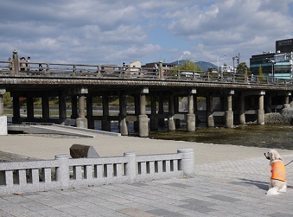 P1410646.jpg