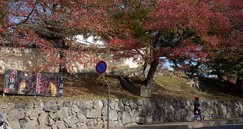 P1420140.jpg