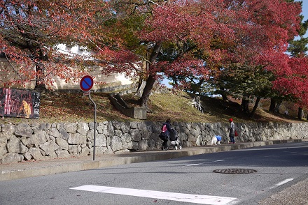 P1420141.jpg