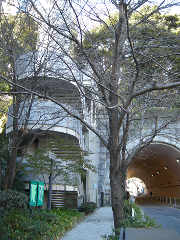 DSCN1798-low.jpg