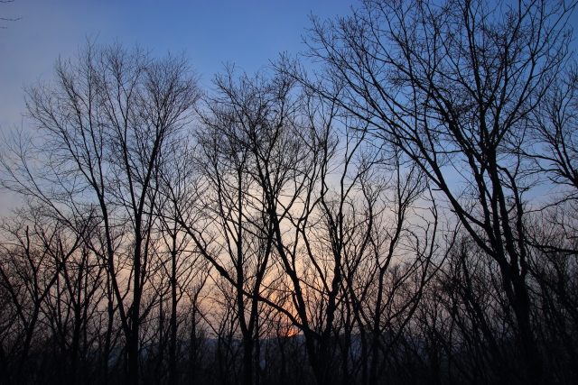 016_20140202152614ee9.jpg