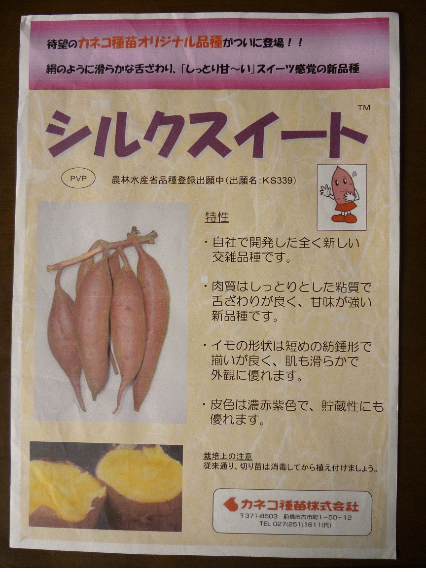 P1000535.jpg