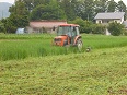 P1000576.jpg