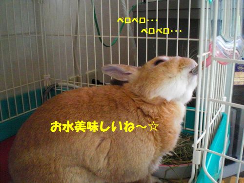 11024.jpg