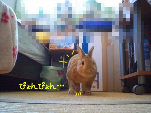 部屋んぽ8
