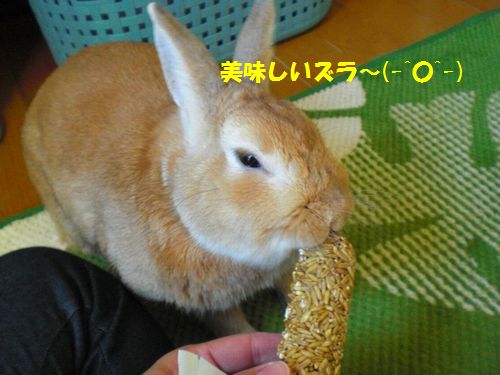 えんむぎ2
