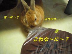 トンネル4