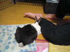 さいご