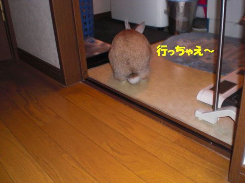 悪ウサギ6
