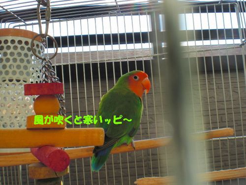 ばなな5