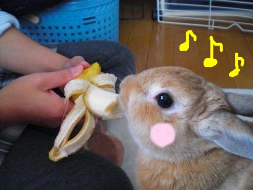 今日の1