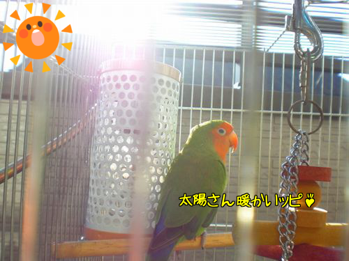今日も4