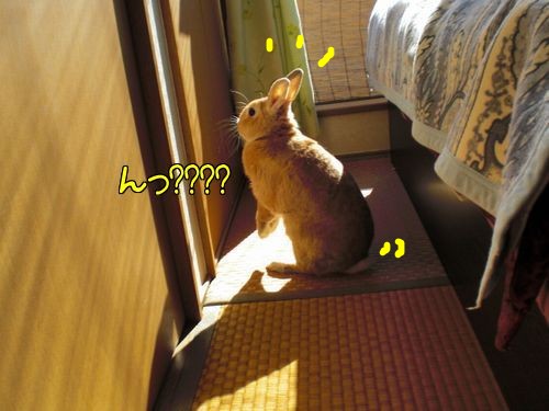 今日も10
