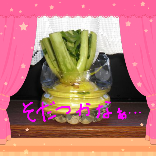 今日も10