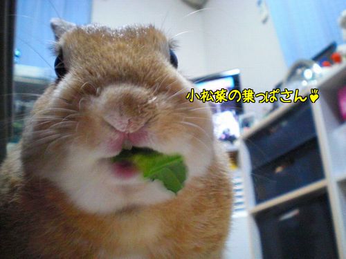 へや13